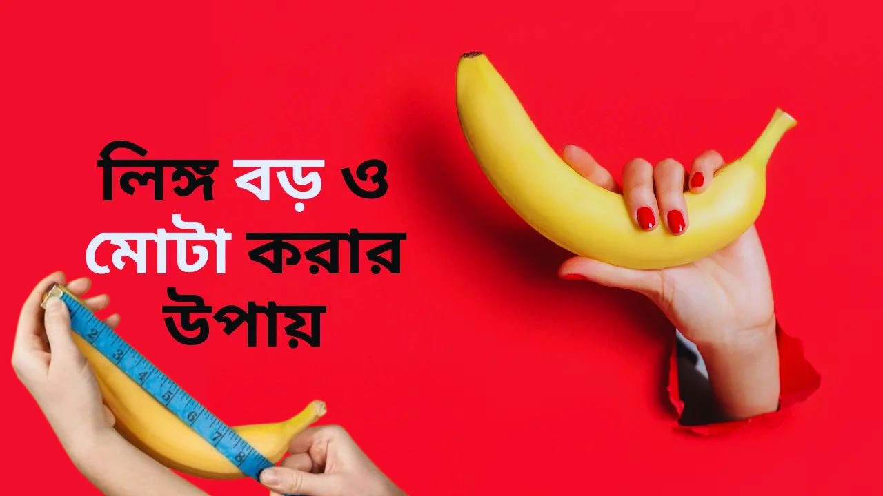 প্রাকৃতিক নিয়মে লিঙ্গ বড় করার উপায়- লিঙ্গ বড় করবেন কিভাবে