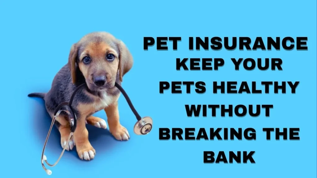 Pet Insurance