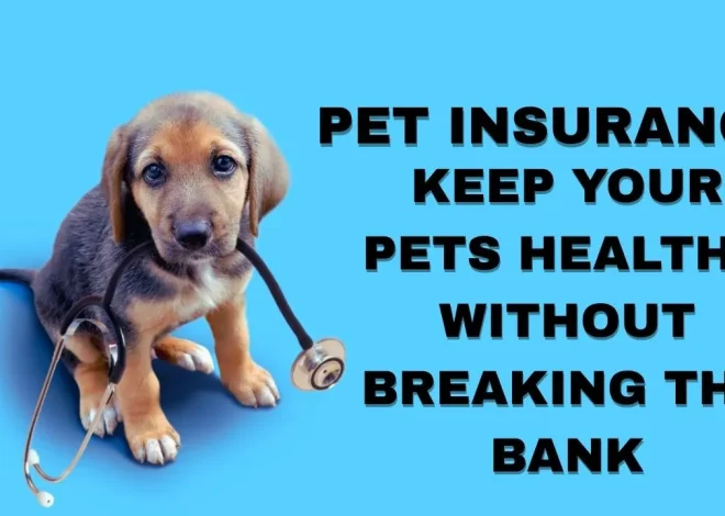 Pet Insurance – Keep Your Pets Healthy Without Breaking The Bank