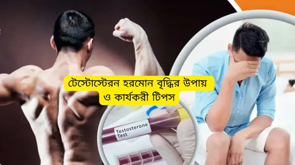টেস্টোস্টেরন হরমোন বৃদ্ধির উপায়
